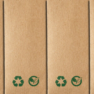 Compostable Packaging